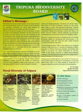 Newsletter Vol IV- Issue 2012